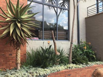 House For Rent in Menlo Park, Pretoria